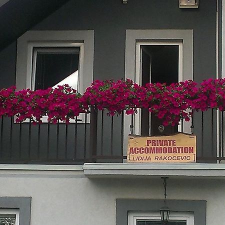 Private Accommodation Lidija Rakocevic Kolašin Eksteriør bilde